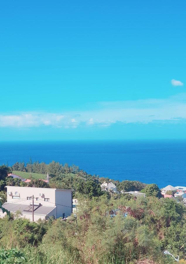 Lilie Location Manapany 4 Etoiles Villa Petite-Ile Luaran gambar